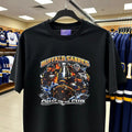 Buffalo Sabres shirt, Sabres t-shirt, NHL fan apparel, hockey graphic tee, Buffalo hockey shirt, Chase for the Cup shirt, Sabres fan gear, NHL merchandise, hockey fan g